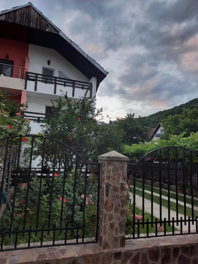 Апартаменти Casa Lica Кечулата Екстер'єр фото