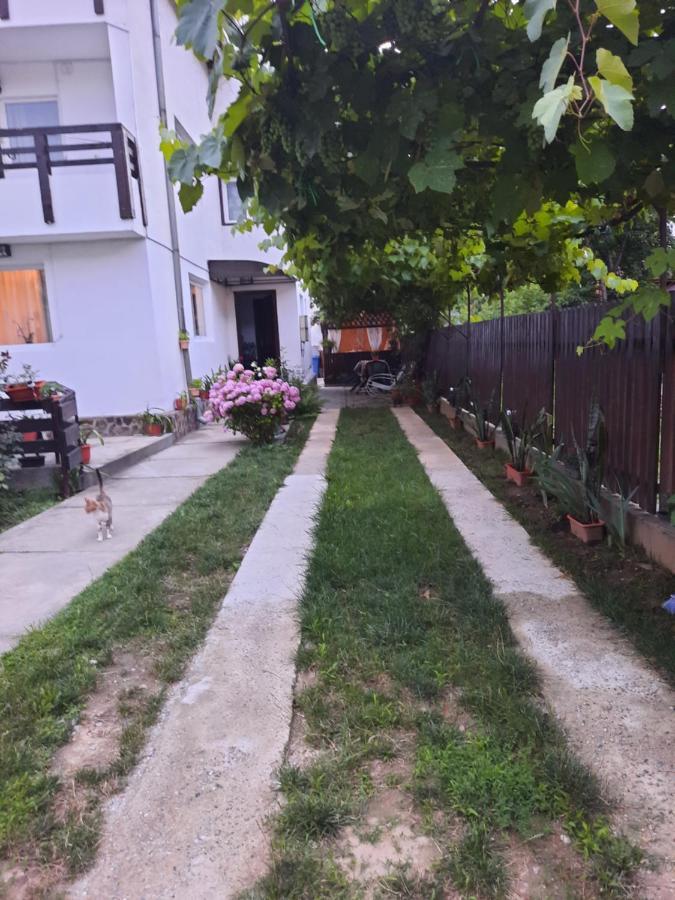 Апартаменти Casa Lica Кечулата Екстер'єр фото